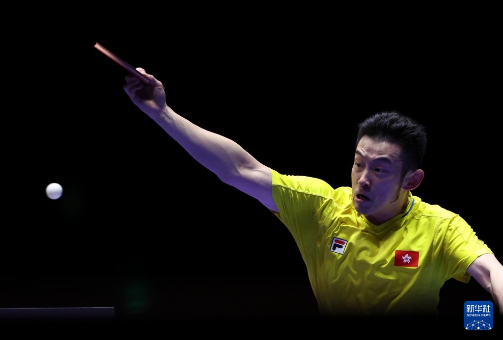 但他从未动 但他从未动