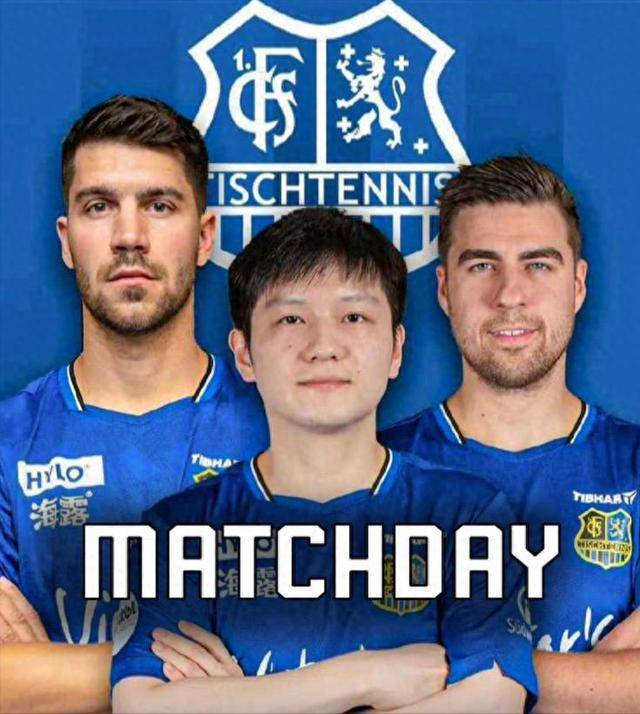 此次回归 此次回归